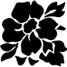 flo009