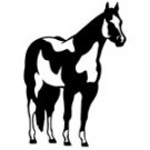 hors002