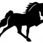 hors005