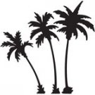 palm002