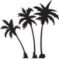 palm002