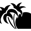 palm006