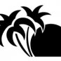 palm006