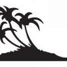 palm007