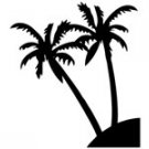 palm008