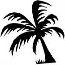 palm009