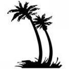palm010