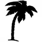 palm013