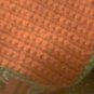 Carrot Top Pot Holders