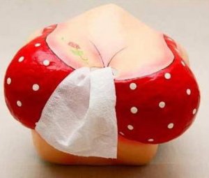 Paper Mache Wall Hanging Tissue Box