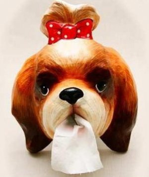 Paper Mache Wall Hanging Tissue Box