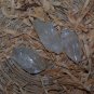Crystal Calcite