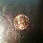 QUALITY EXPANDED SHELL QUARTER / Coin Magic