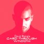 DAVID BLAINE'S CARD THRU WINDOW (DEMO) / Magic Illusion