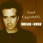 DAVID COPPERFIELD'S INDIAN BURN / Magic Illusion