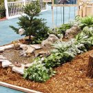 3 Level cascade pond Kit
