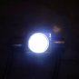 1 BULB 1W 31MM HIGH POWER FESTOON DOME WHITE BULB