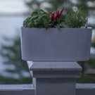 Algreen self-watering windowsill Planter with water level indicator