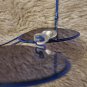 Marc Jacobs Classic Unisex Thin Frame Blue Aviator Sunglasses