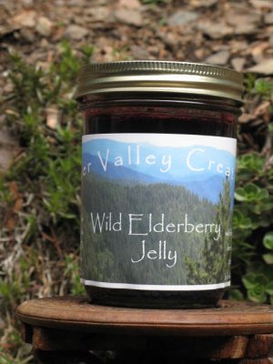 Wild Elderberry Jelly