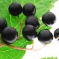 Wild Elderberry Jelly