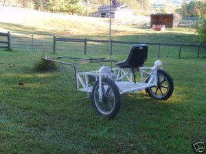 Custom Built 1 Horse Cart w/Harness Solid Construction