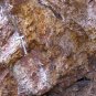 Gold Mine For Sale: Marshall Mine, Historic, Patented Property