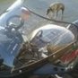 Suzuki RG 500 RG 400 Gamma Fairing Screen Shield