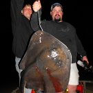 Saltwater Bowfishing Trips Stingray Bowhunting Fishing Charters