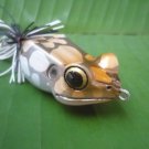 Handmade : X  Poison Frog TopWater  Wooden Lure #BRL
