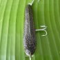 Handmade : SnakeHead Fish Crankbait Fishing Lure # CLB