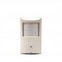 1/3" SONY COLOR 540TVL CCTV HIDDEN MOTION SENSOR CAMERA