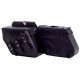 Motorcycle/Saddle bags
