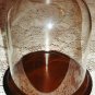 Glass Cloche with Wooden Base