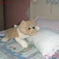 Children Tissue Box Cover Large Wrinkle Dog CTC 27