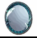 Dolphin Mirror