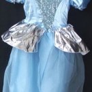 Cinderella Costume Dress