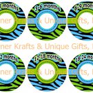 Blue & Green Zebra Closet Dividers