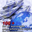 100+ list of worldwide unique wholesale store for dropshipper