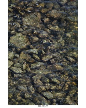 Water II