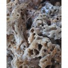 Stone
