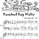 Rosebud Rag Waltz Easiest Piano Sheet Music for Beginner Pianists 2nd Edition