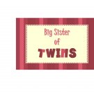 Big Sister of Twins
