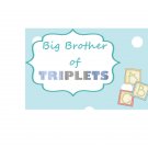 Big Brother of Triplets