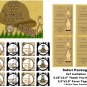 Digital Safari Personalized Birthday Package