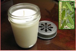 Vanilla Blast Soy Candle 8oz Jar Triple Scented! NICE!