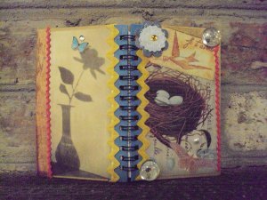 Blank~notebook