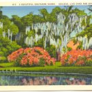 SOUTHERN SCENE, AZALEAS,OAKS, SPANISH MOSS Vintage  POSTCARD   66