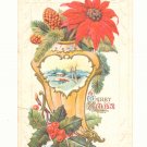 PINE CONES POINSETTIA HOLLY CHRISTMAS Vintage POSTCARD 1916   67