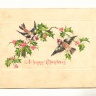 TWO BIRDS ON HOLLY BRANCH VINTAGE 1907 POSTCARD   68